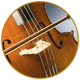 Learn play Cello? - Rubio Music Academy